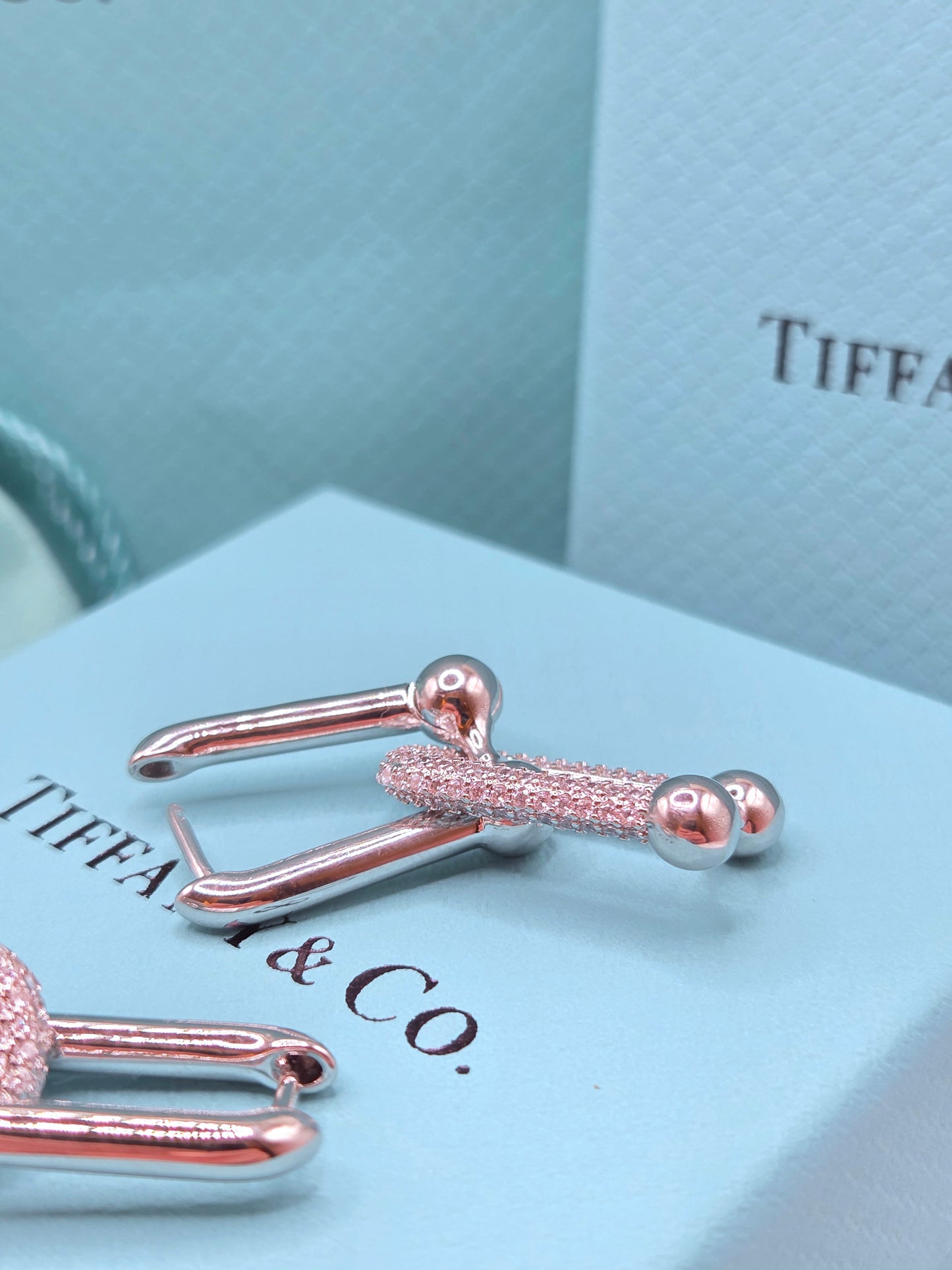 U Link Earrings