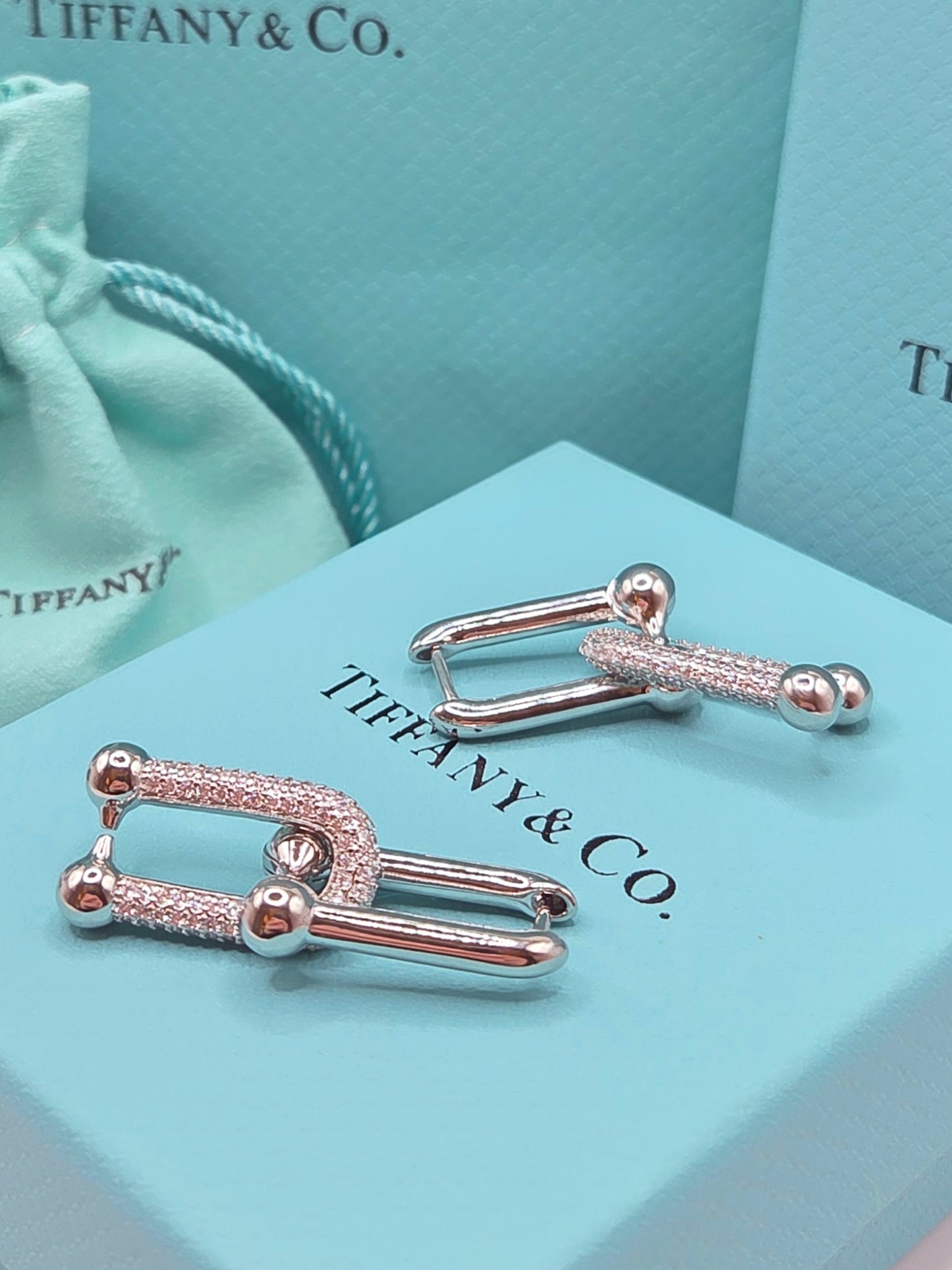 U Link Earrings