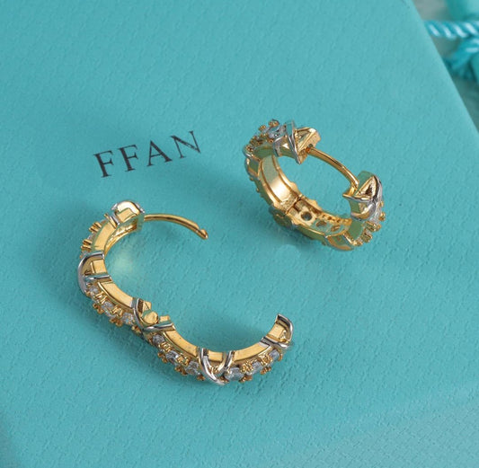 Classic Elegant Hoop Earrings