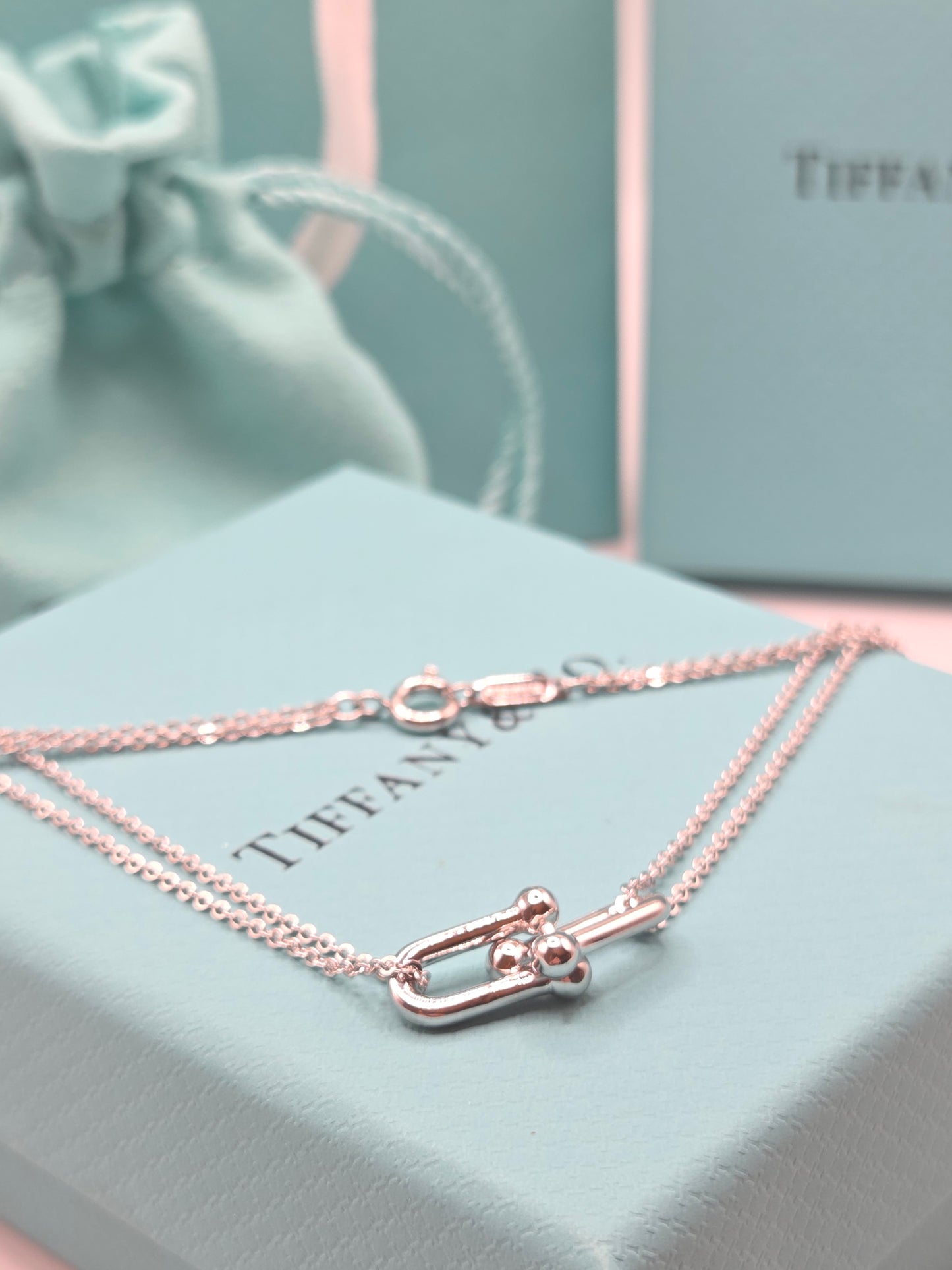 Elegant Double Chain Link Necklace