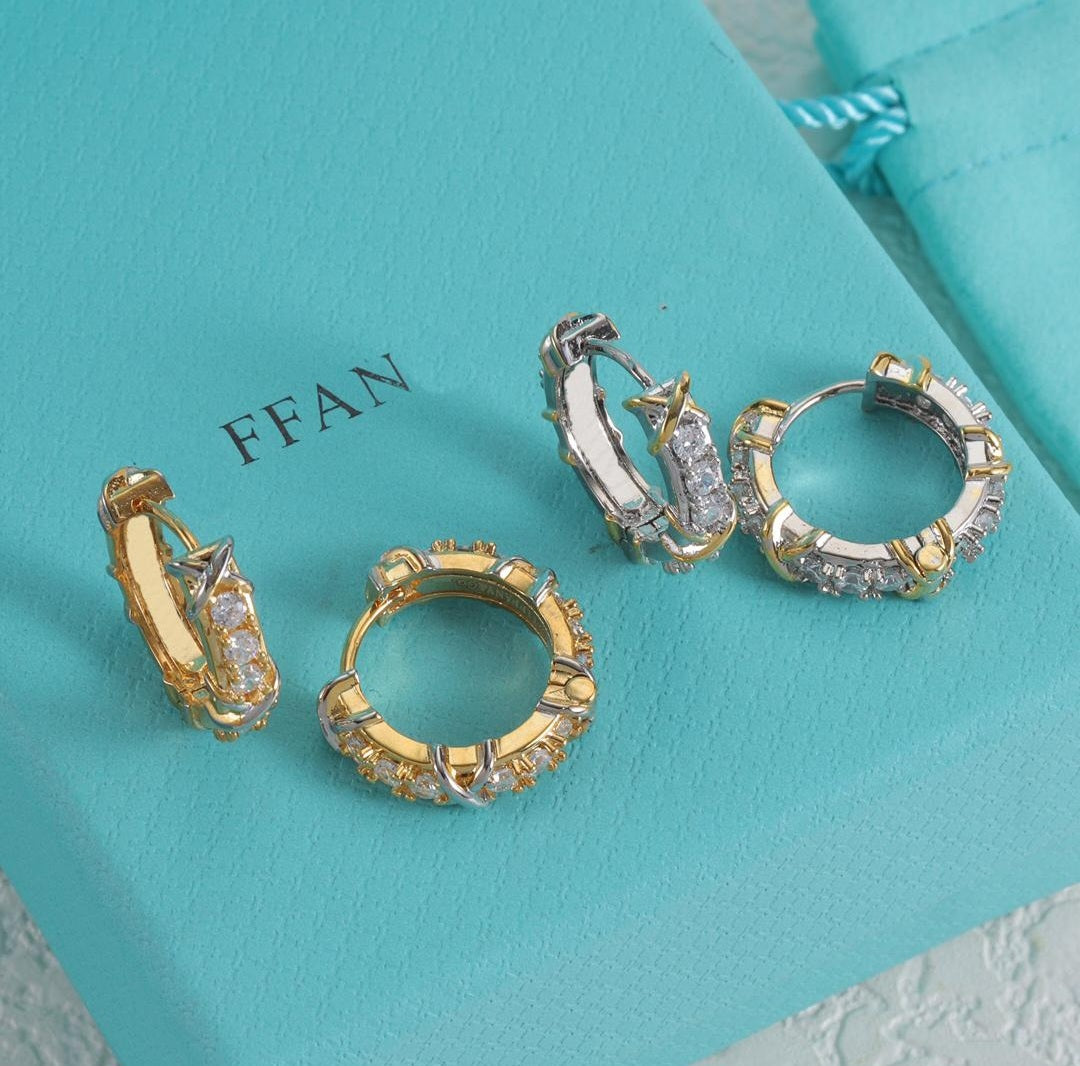 Classic Elegant Hoop Earrings