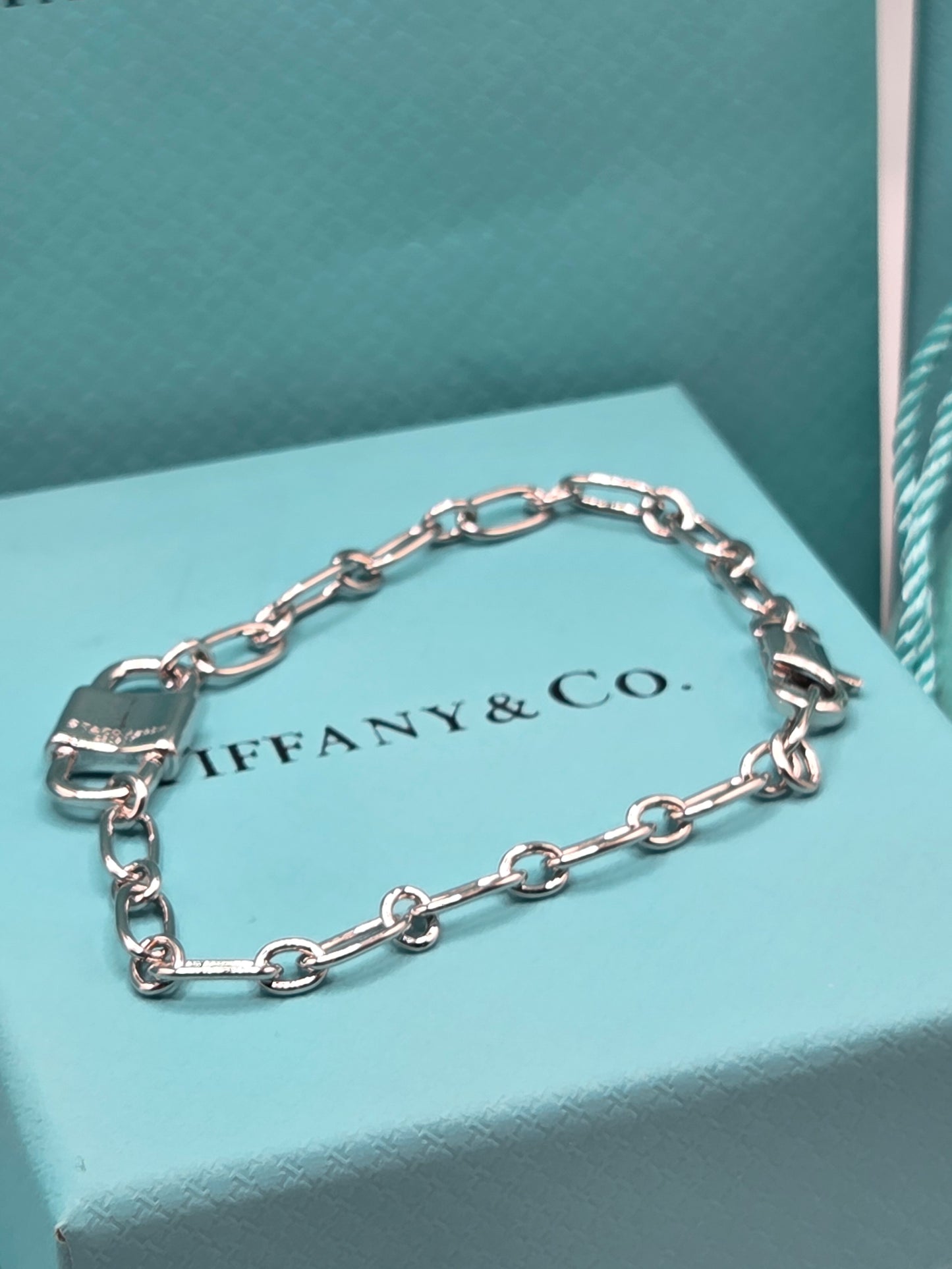 Double Padlock Bracelet