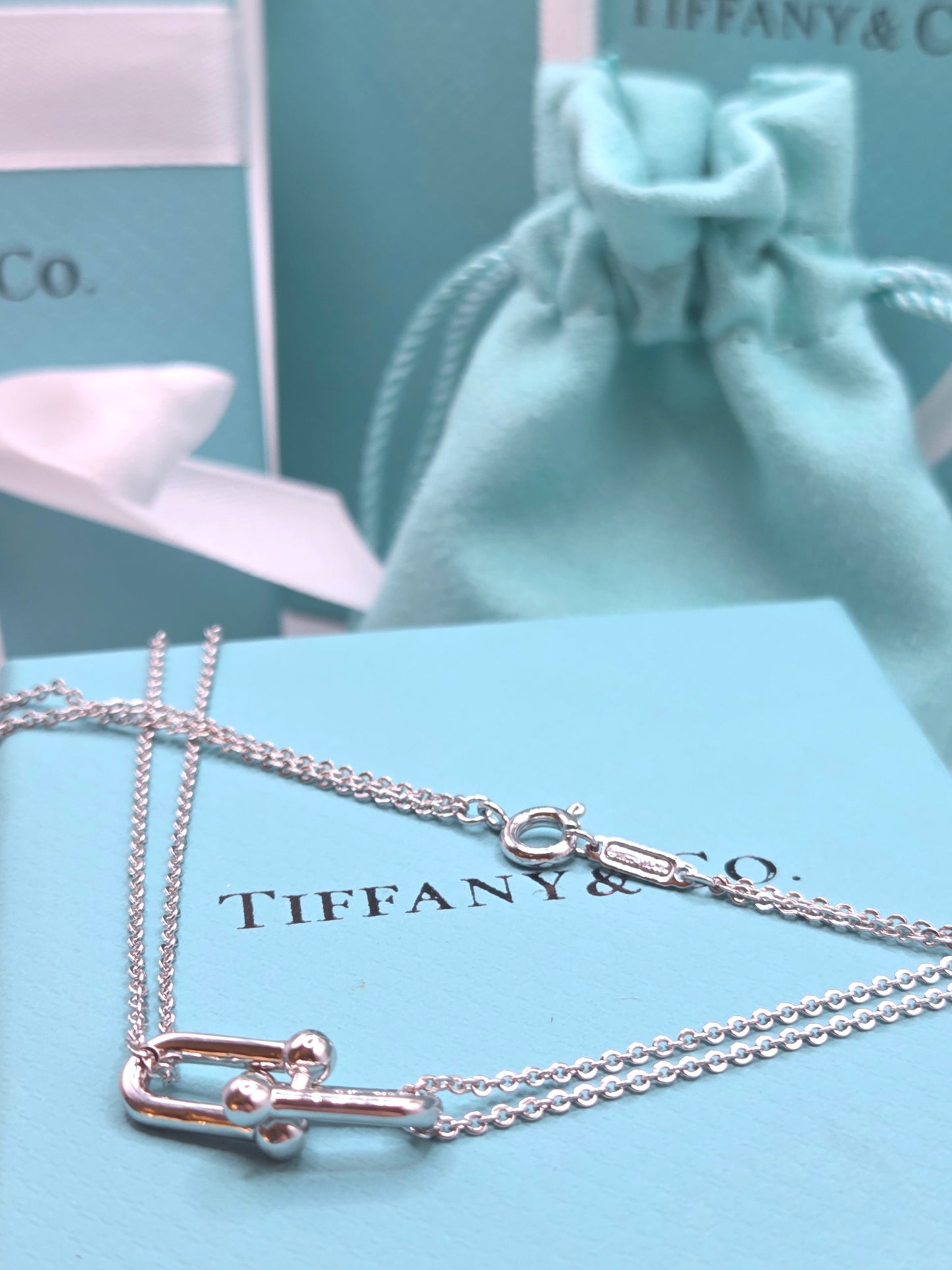 Elegant Double Chain Link Necklace