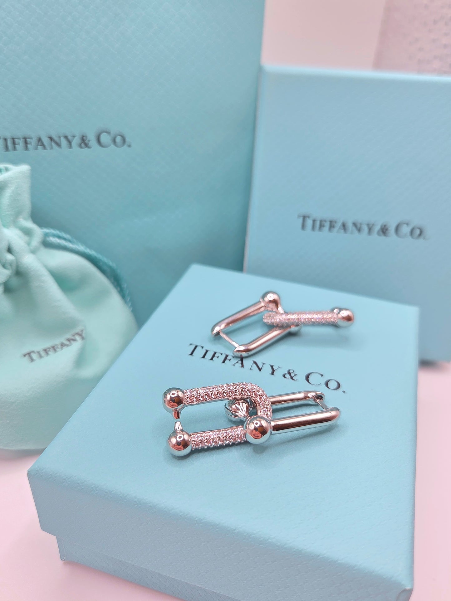 U Link Earrings