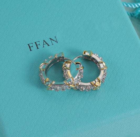 Classic Elegant Hoop Earrings