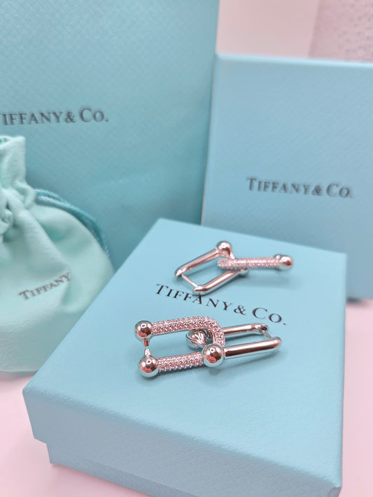 U Link Earrings